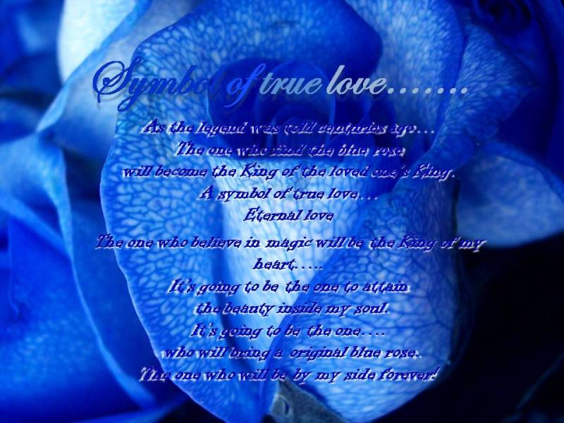 pictures of blue roses and hearts